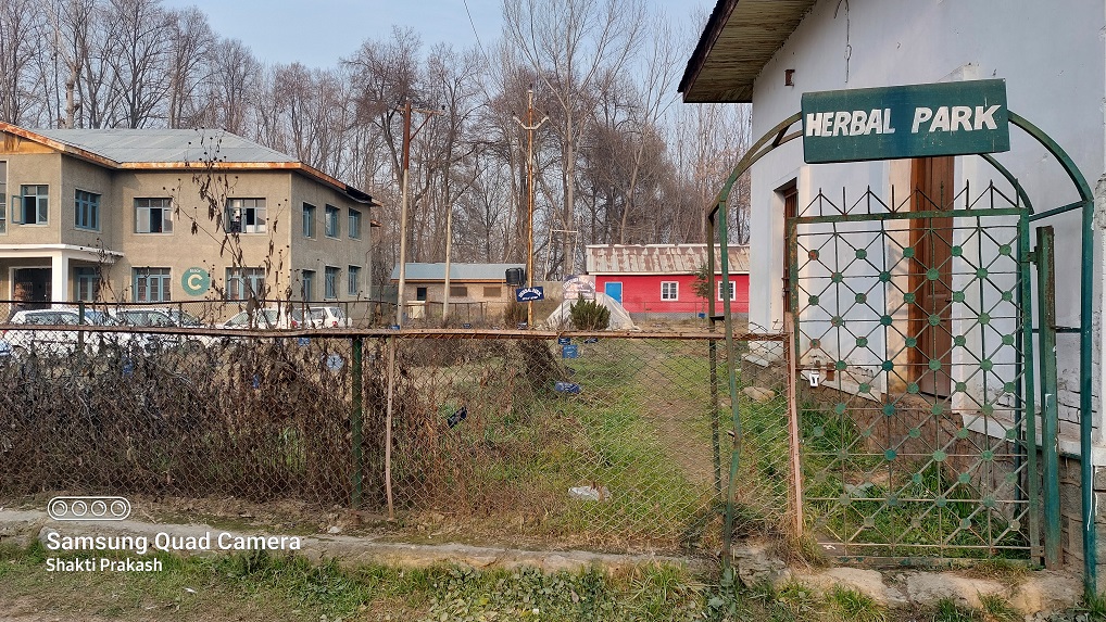 Herbal Garden